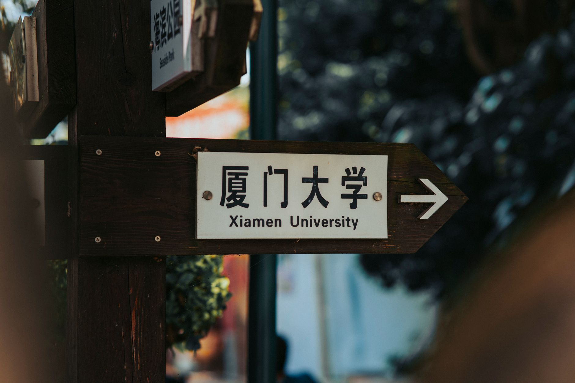 2026出国留学条件全面解析:从申请到签证的核心门槛